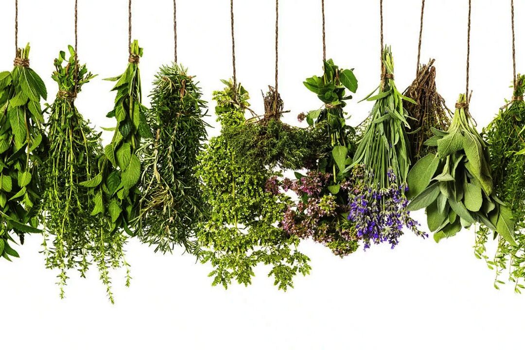 Tropical plant extract in Eroboost