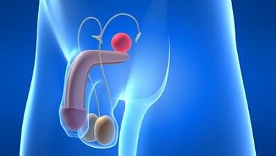 Lubrication in men during excitement what is it